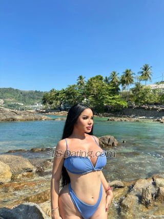 trans girl Cindy2538 8795245