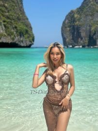 Cindy2544 Phuket TS escort 