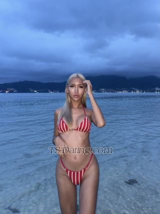 trans girl Cindy2544 0407855 trans girl Cindy2544 0407855