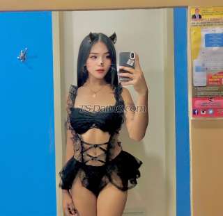 Shemale-Cindyy-3334428