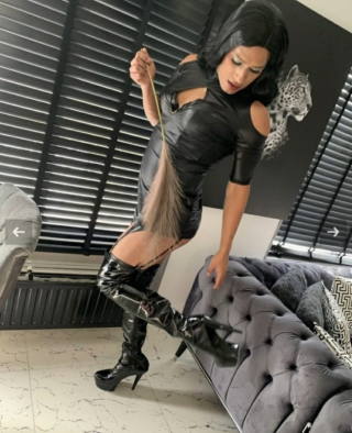 Cintyaxxl 8242350 Cintyaxxl 8242350