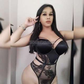 trans girl Claraescort 8824600 trans girl Claraescort 8824600