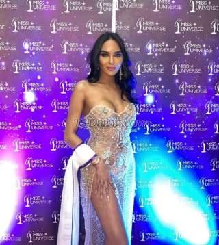 trans girl ClassyAshley 5803578 trans girl ClassyAshley 5803578