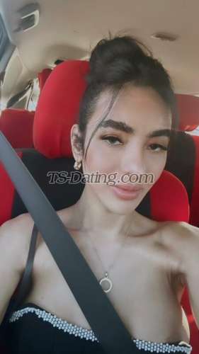 trans girl ClassyAshley 9816606 trans girl ClassyAshley 9816606