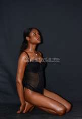 CloverXD Accra Transex 