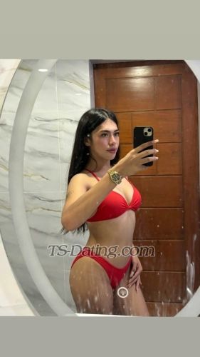 trans girl CrystalBIGD 7864361 trans girl CrystalBIGD 7864361