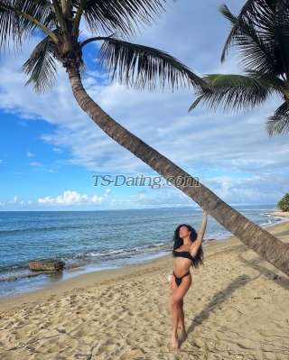 trans girl CubanaVip24 6285480