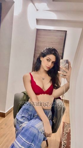 trans girl Cuteamelia 7422311 trans girl Cuteamelia 7422311