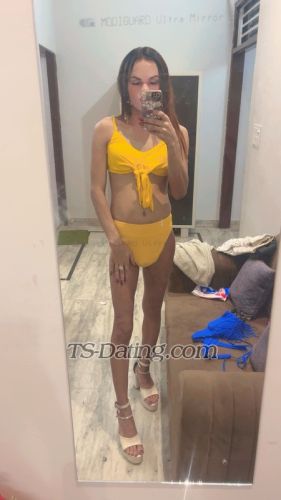trans girl Cutejuliee 6859573 trans girl Cutejuliee 6859573