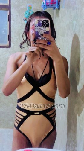 trans girl Cutejuliee 9136416 trans girl Cutejuliee 9136416