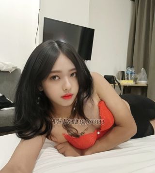 trans girl Cyntia 6773686 trans girl Cyntia 6773686