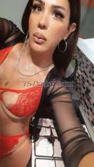 Cyprusmira Istanbul Transex Hi best shemale first class turkish shemale XXL
https://onlyfans.com/cikolataezgi follow me
