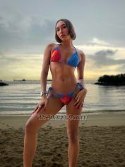 callherleila Singapore  Transex Sie können mich einfach Leila nennen. Ich bin in dieser wunderschönen grünen Stadt Singapur geboren und laufe dort. Ich bin das Mädchen mit der positiven Einstellung, der strahlenden Persönlichkeit und einem sehr lockeren Umgang miteinander. Ich liebe es einfach, neue Leute aus aller Welt kennenzulernen und neue Kontakte zu knüpfen. Ich bin in verschiedene Länder wie London, Paris, Vancouver, Amsterdam, Berlin, Australien und sogar einige Teile Asiens gereist. Ich bin sehr aufgeschlossen und flexibel. Ich bin definitiv das perfekte Mädchen, das auf Ihre sexuellen Bedürfnisse und Wünsche eingehen kann. Wenn Sie auf der Suche nach einer „Girlfriend Experience“ sind, bin ich definitiv die Richtige für Sie. Kommen Sie mit mir zum Abendessen oder einfach auf ein oder zwei Drinks in eine Bar. Ich bin eine sehr talentierte Tänzerin, also stellen Sie sich vor, ich tanze persönlich für Sie. Wenn Sie Lust haben, mich unter die Bettdecke zu nehmen, wissen Sie, was als Nächstes zu tun ist. Kontaktieren Sie mich gerne über die unten angegebene Nummer oder per Telegramm (leilaidham). Ich bin nur für Outcall-Buchungen verfügbar. Wenn Ihnen also gefällt, was Sie sehen, hinterlassen Sie mir eine Nachricht. Mir wurde gesagt, dass ich persönlich besser aussehe. Ich kann es kaum erwarten, von Ihnen zu hören! Mit freundlichen Grüßen, Leila 