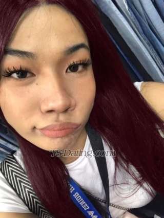 trans girl catthanyabbc 2047198