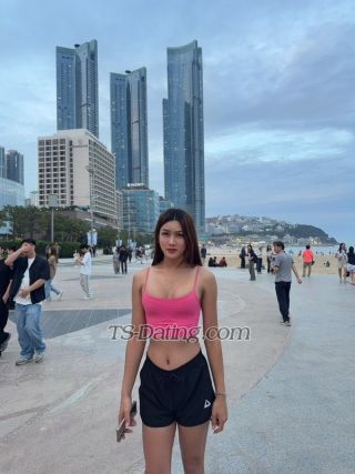 trans girl chaya2019 3673519