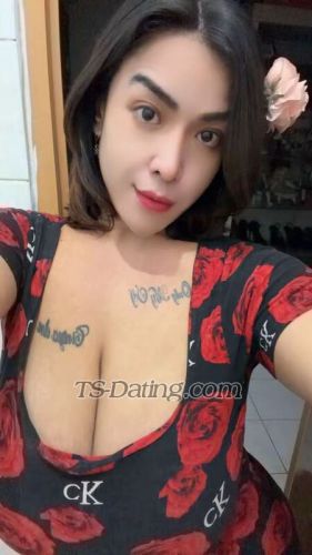 trans girl cintyaa99 8880749 trans girl cintyaa99 8880749