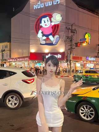 trans girl cnladyboy 0185172 trans girl cnladyboy 0185172