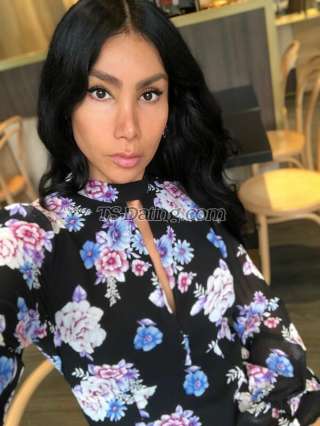 trans girl DALMATS 0926861