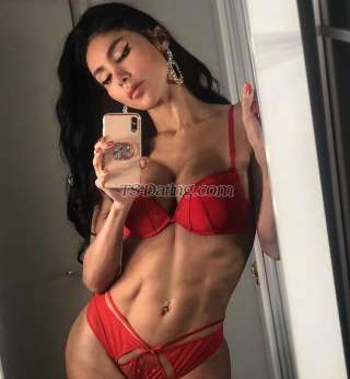 trans girl DALMATS 2319296