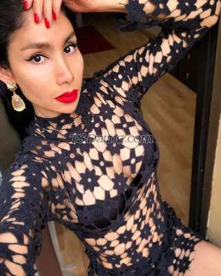 trans girl DALMATS 2319382