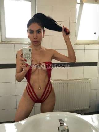 trans girl DALMATS 4624208