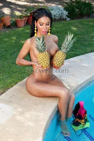 trans girl DALMATS 6041729