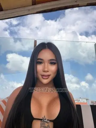 Shemale DARAAYUSHEM 6613263 Shemale DARAAYUSHEM 6613263
