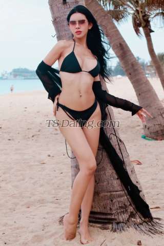 trans girl Daisy99 0749654 trans girl Daisy99 0749654