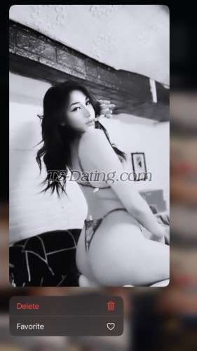 trans girl Dana09 3086080 trans girl Dana09 3086080