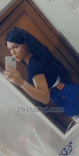 trans girl Danielatrans 3478211