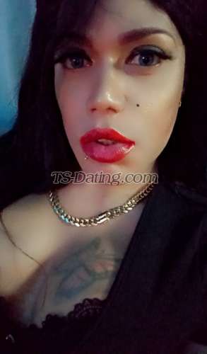 trans girl Danielatrans 4621388 trans girl Danielatrans 4621388