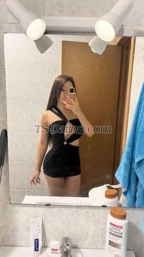trans girl DanitzaVivan 2355312 trans girl DanitzaVivan 2355312