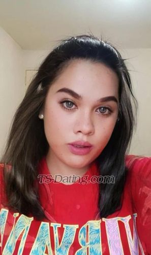 trans girl DaphneXOXO 3385930