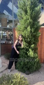 Daraaa Jakarta Transex Hiii, im Dara, im 21 y.o, I can available for meet, vcs, and
also i can be ur dating girlfriend. If u want to know
me more, just text me in telegram or
WhatsApp💗Telegram: @zeralove