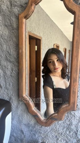 trans girl Daraaa 4146677 trans girl Daraaa 4146677