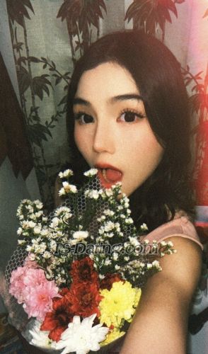 trans girl Daraaa 5656402 trans girl Daraaa 5656402