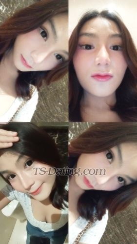 trans girl Daraaa 5656510 trans girl Daraaa 5656510