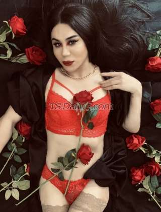 trans girl DarinaQueen 5631802