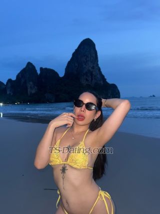 trans girl Davika28 7640549 trans girl Davika28 7640549