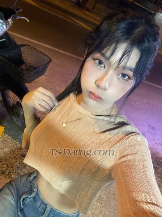 trans girl Davikalin 3573861