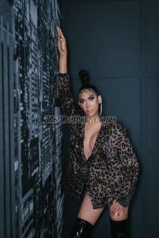 trans girl Davina28 4888633