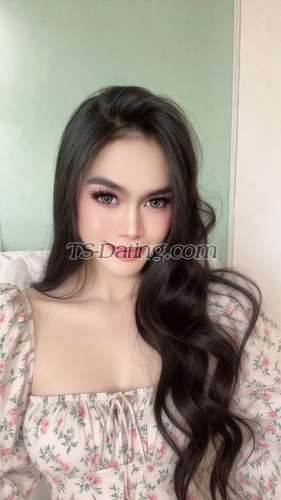 trans girl Davinaalmir 2625329 trans girl Davinaalmir 2625329