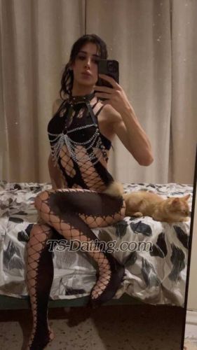 trans girl DeeKylie 7674499 trans girl DeeKylie 7674499