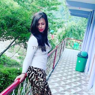 trans girl Devina4u 7302494