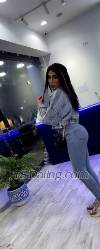 trans girl Diana555 3721480 trans girl Diana555 3721480