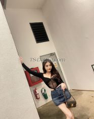 Dior88 Lampang Transex Hello, all guys, my name is Dior I'm an original Thai ,
24years old. I love to care for all who love a romantic and
love to have a happy time If you are looking forward to
young ladyboy with entertainment and cute and massage, I am
the one who could service you. You can message me or call me
all the time. If you have any information, please let me
know,📱 Telegram: @donut9733💬 WeChat:
sweet66me💚 LINE: line.me/ti/p/_zQk96qj3J🐦
Twitter: @sexyme241