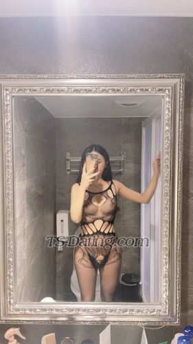 trans girl Dior88 9014988 trans girl Dior88 9014988