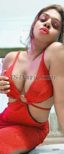 trans girl Dipka 8699259 trans girl Dipka 8699259