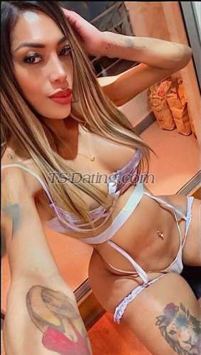 trans girl DivaCarolina 6980078 trans girl DivaCarolina 6980078
