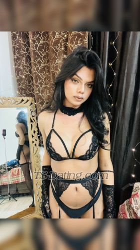 trans girl DivaDua 2572121 trans girl DivaDua 2572121